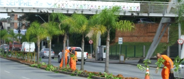 Começa plantio da barreira física na Rua Antônio da Veiga