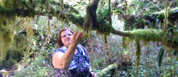 Morre professora e ambientalista Lúcia Sevegnani