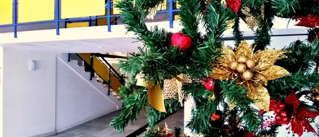 FURB inaugura decoração de Natal nesta sexta-feira