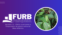 Pesquisa da FURB revela efeito cicatrizante e fotoprotetor de planta nativa da Mata Atlântica